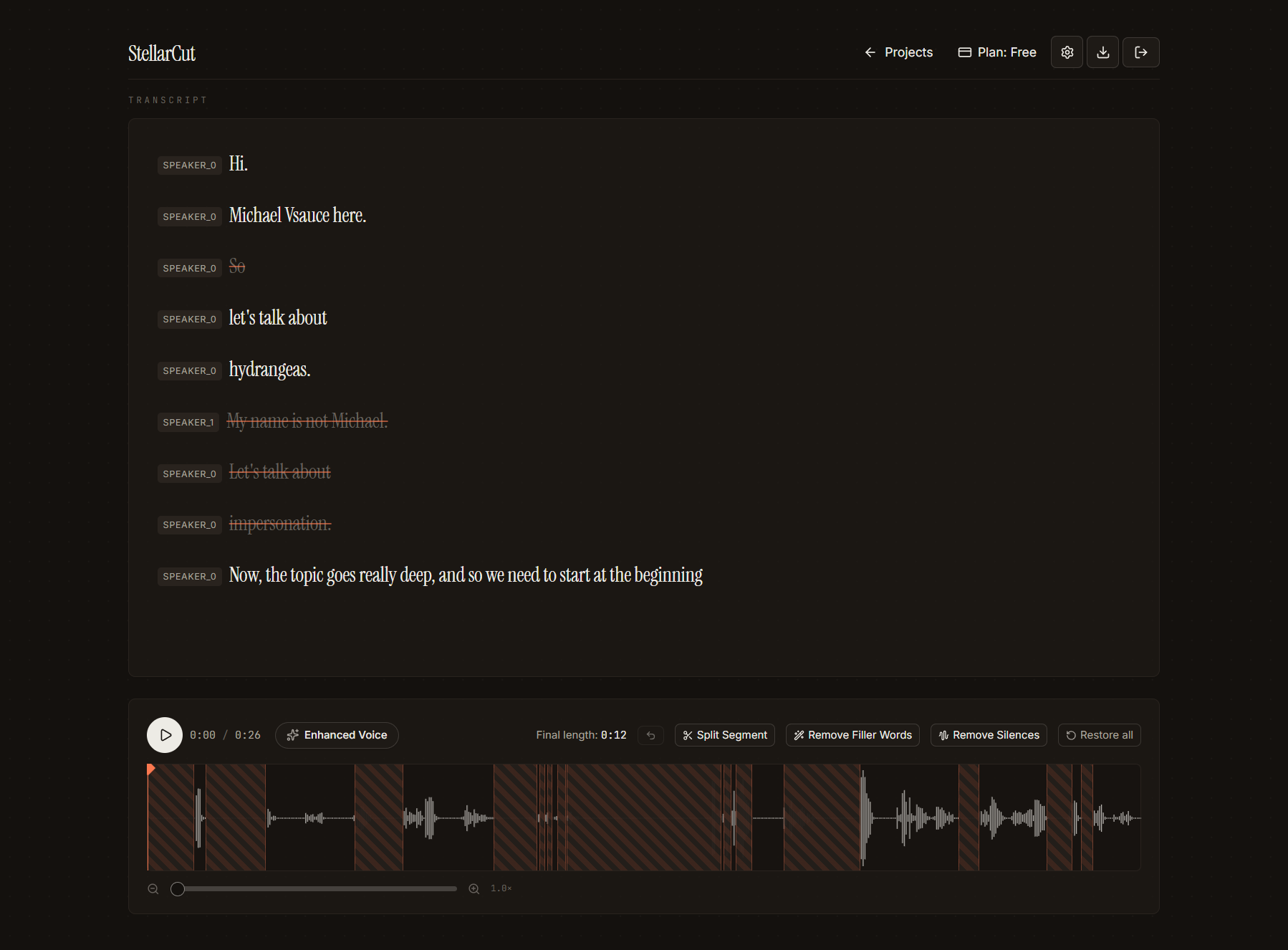 StellarCut interface with waveform and transcript